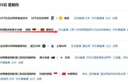 开云体育中国-精彩纷呈！欧国联比赛赛况一览的简单介绍