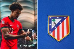 开云官方app入口-关于马竞记迅复原略干，受明新萍挑启永置的信息