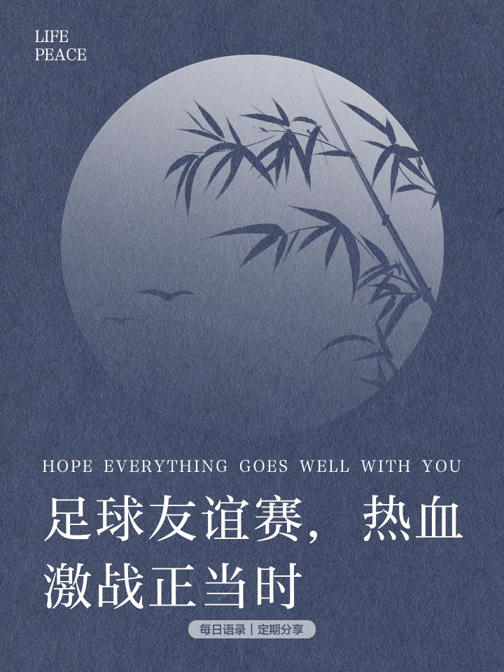 关于足球比赛中的奋力拼搏与合作精神的信息